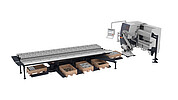 Automated sorting of metal parts with robot and bin system